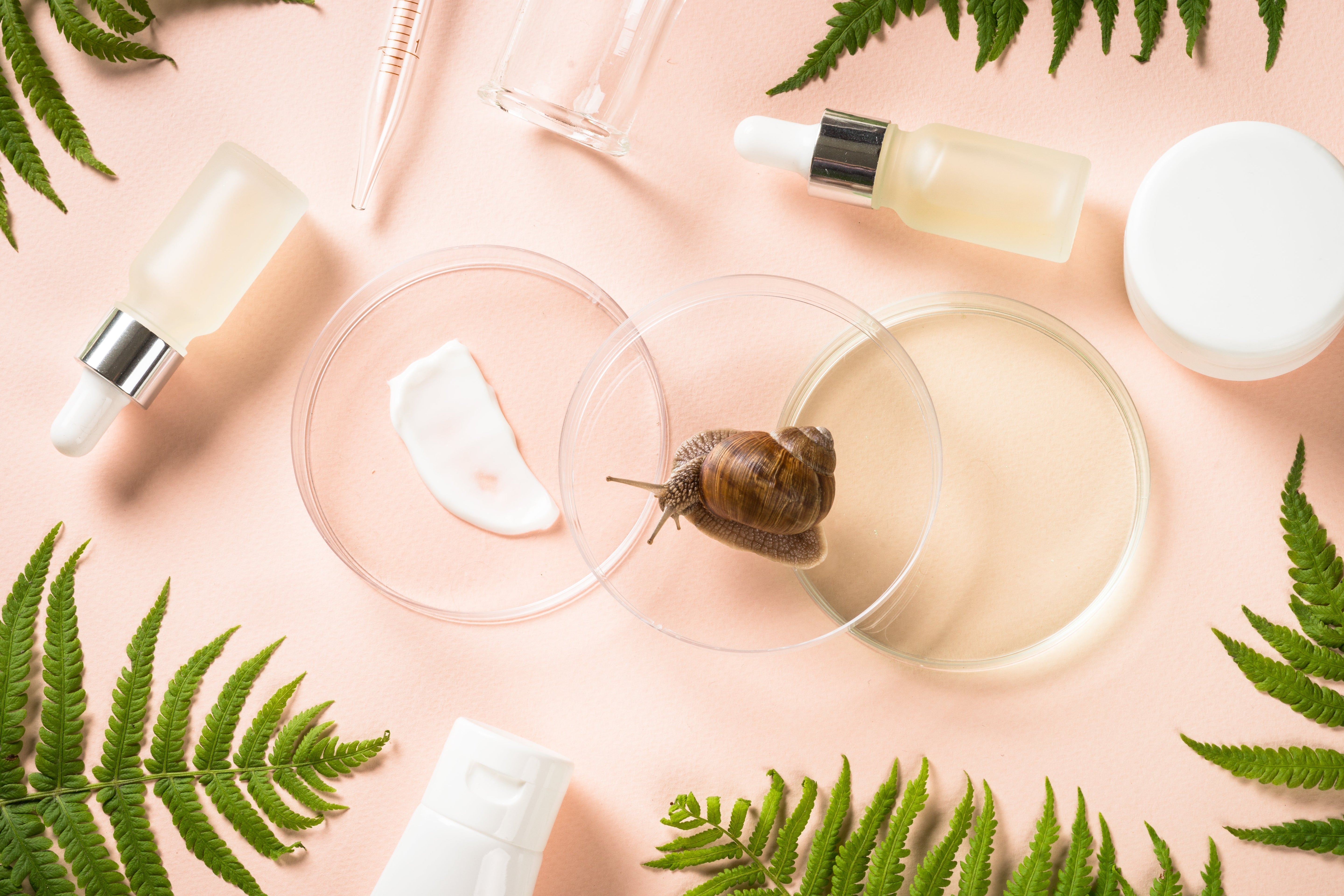 Behind the Label: What Clean Beauty Should Filter Out